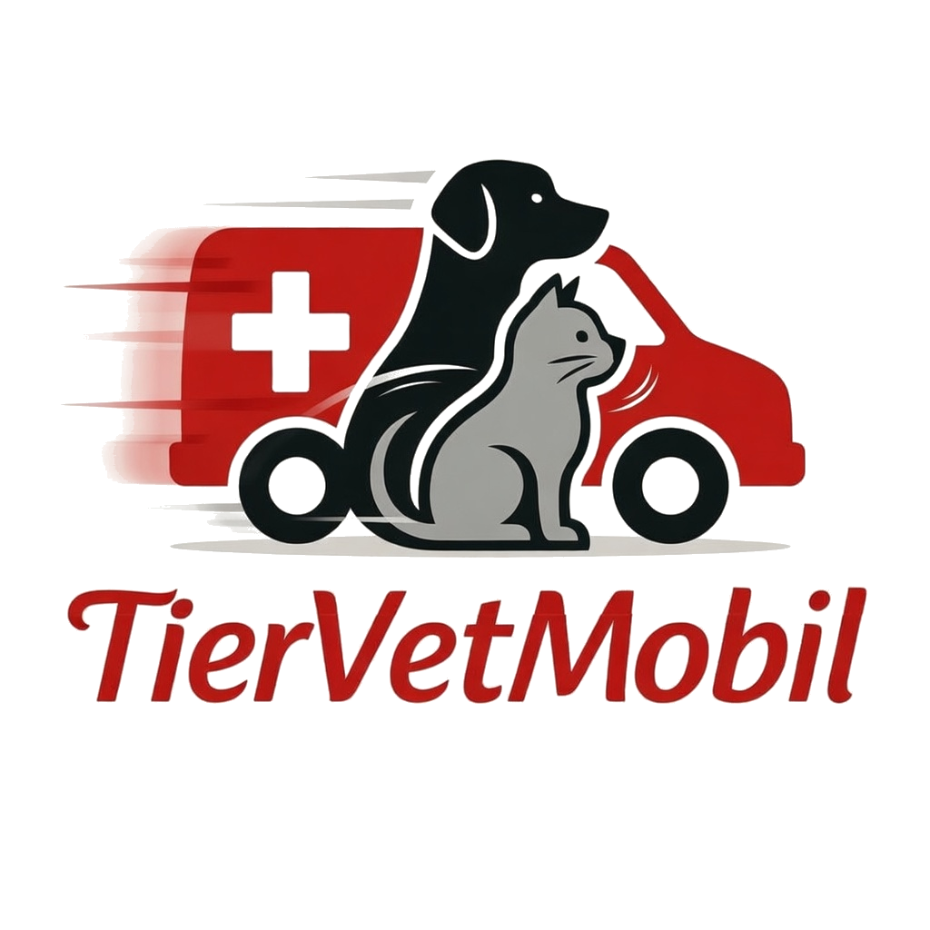 TierVetMobil Van beim Hausbesuch